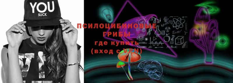 Галлюциногенные грибы Psilocybine cubensis  Кукмор 